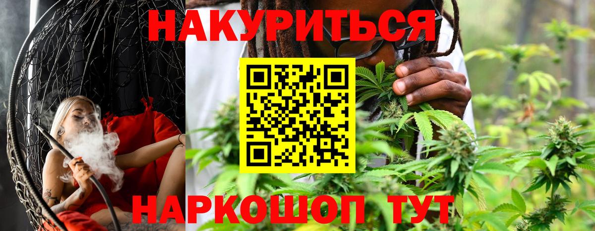 Каннабис планчик  Канабис MAZAR  Канабис планчик  Канабис сатива  Сланцы  Вход с VPN 